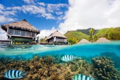 Unterwasserwelt direkt am Hotel auf Moorea (BlueOrange Studio / stock.adobe.com)  lizenziertes Stockfoto 
Informazioni sulla licenza disponibili sotto 'Prova delle fonti di immagine'